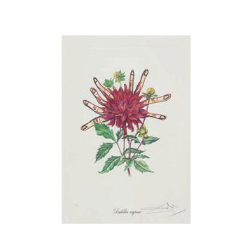 Salvador Dalí (1904-1989) - Surrealistic Flowers II