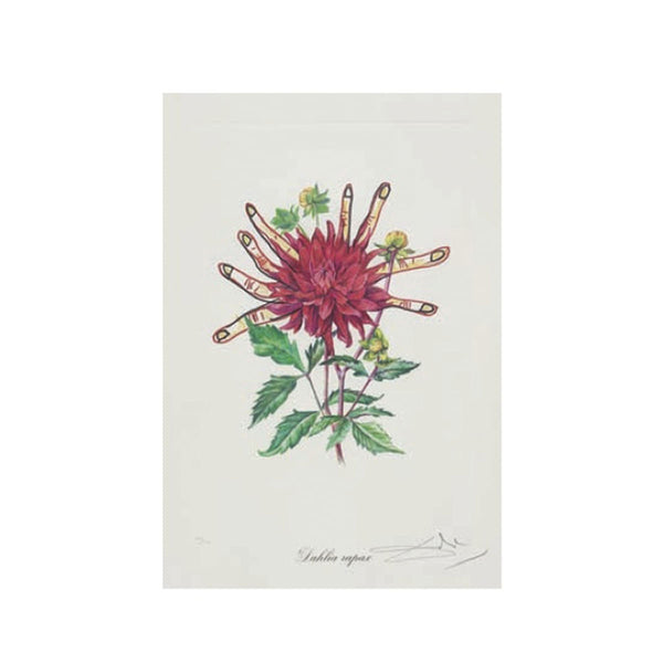 Salvador Dalí (1904-1989) - Surrealistic Flowers II
