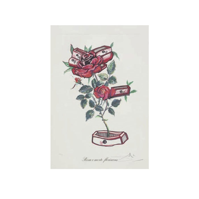 Salvador Dalí (1904-1989) - Surrealistic Flowers III