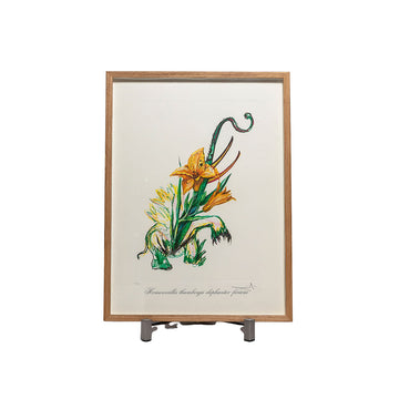 Salvador Dalí (1904-1989) - Surrealistic Flowers VI