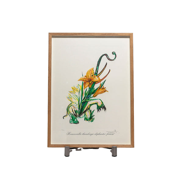 Salvador Dalí (1904-1989) - Surrealistic Flowers VI