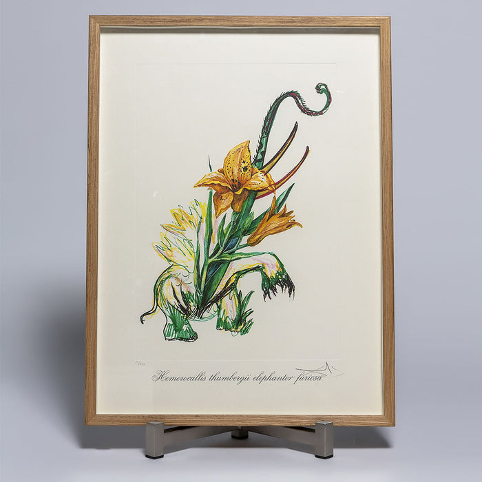 Salvador Dalí (1904-1989) - Surrealistic Flowers VI