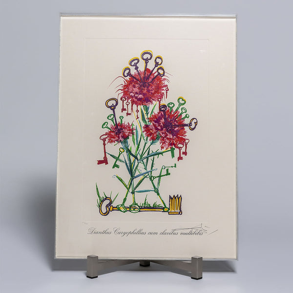 Salvador Dalí (1904-1989) - Surrealistic Flowers VII