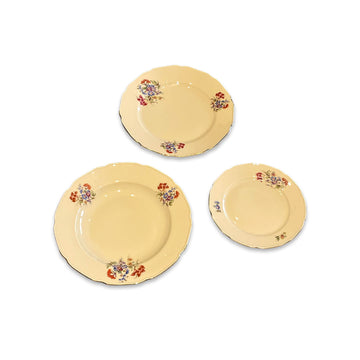 Serviço de Jantar em Porcelana Tcheca Royal Ivory