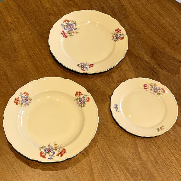 Serviço de Jantar em Porcelana Tcheca Royal Ivory