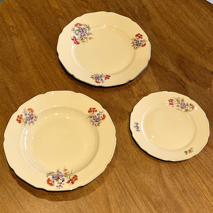 Serviço de Jantar em Porcelana Tcheca Royal Ivory