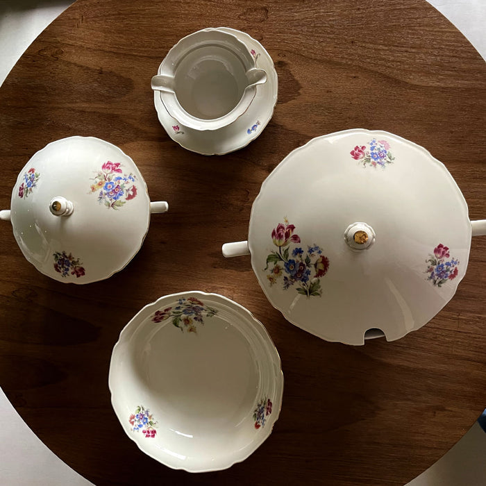 Serviço de Jantar em Porcelana Tcheca Royal Ivory